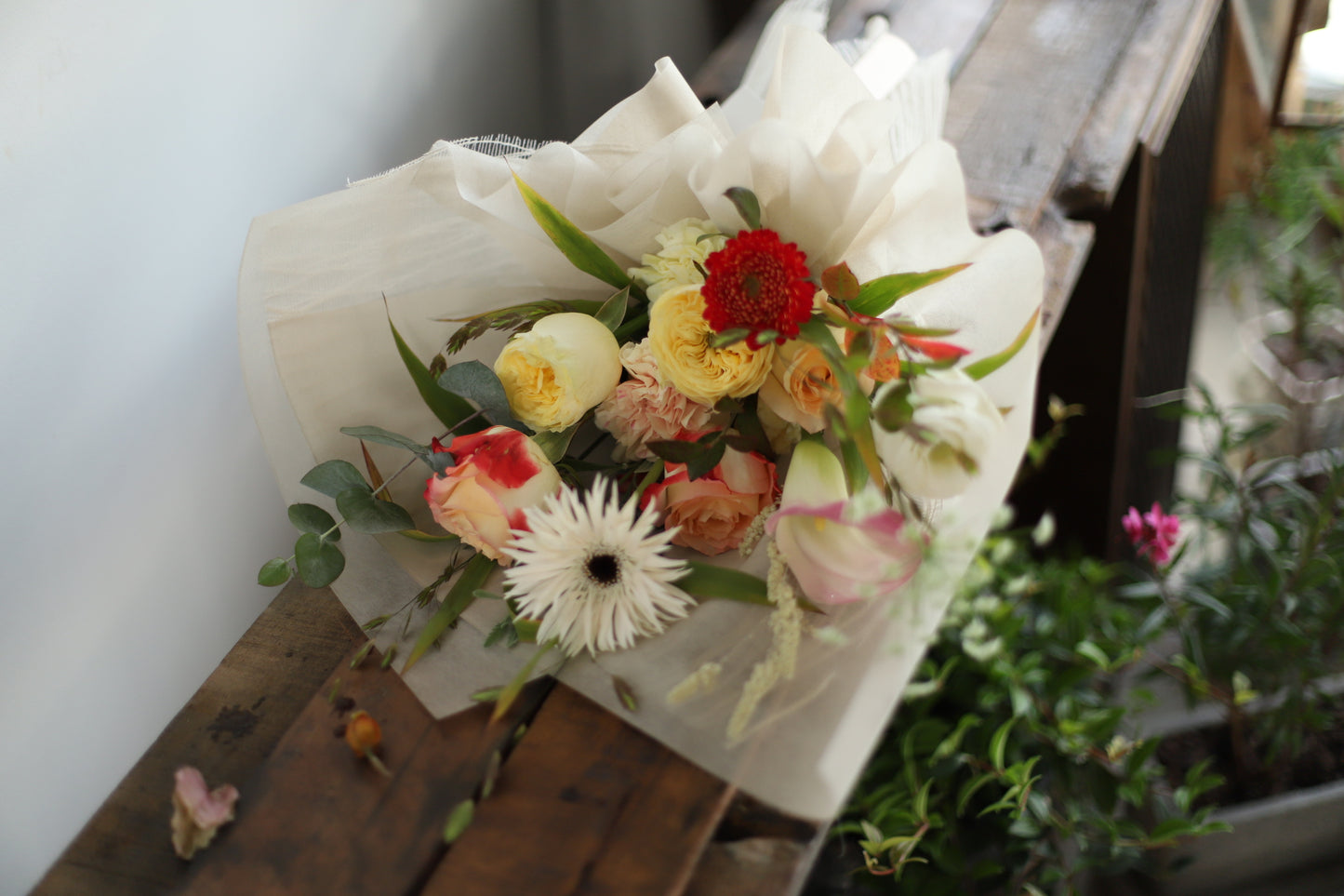 <Selection> Wrapped Bouquet -  Multicolored