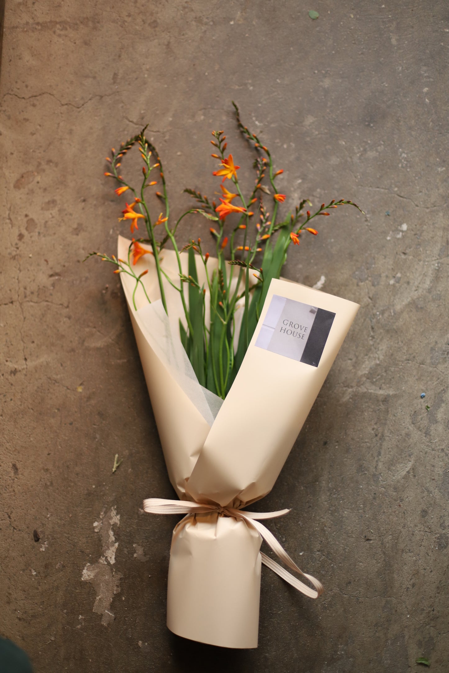 <Selection> Wrapped Bouquet - Orange