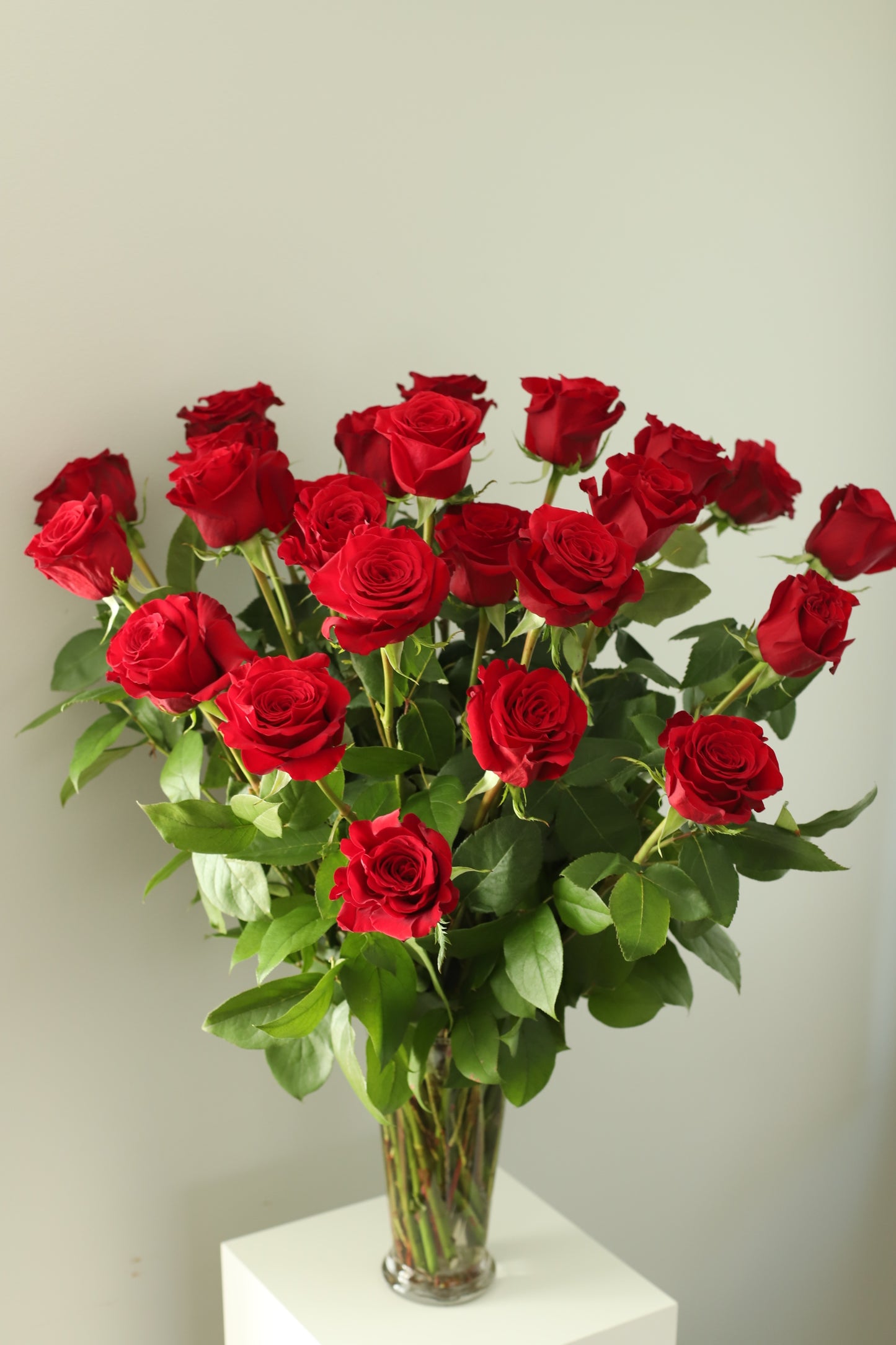Classic Premium Long-Stem Roses for Valentine's Day | Luxury Bouquet in All Colors | Vase Included