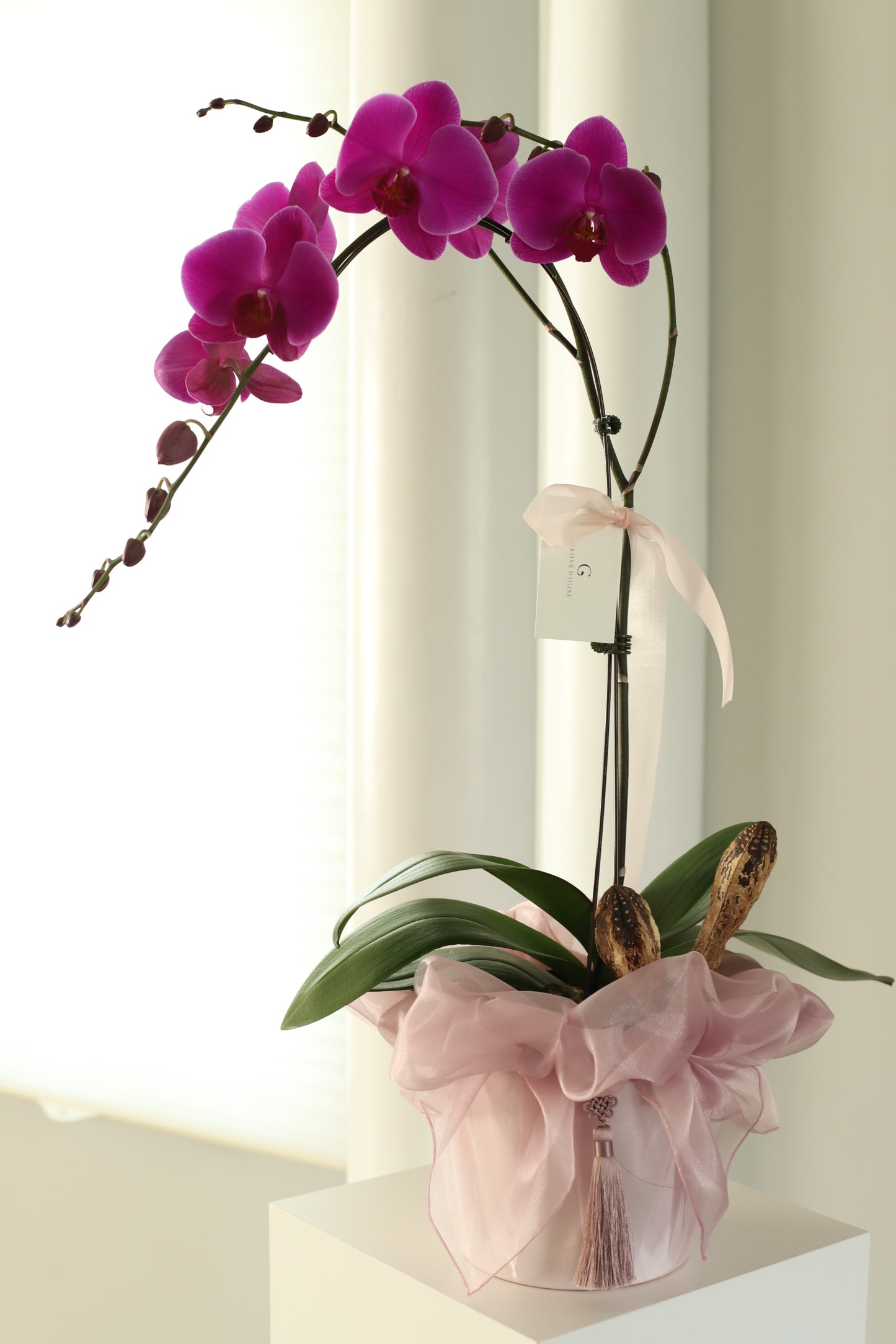 Allure of One-Stem Pink Orchid with Bojaki Wrapping