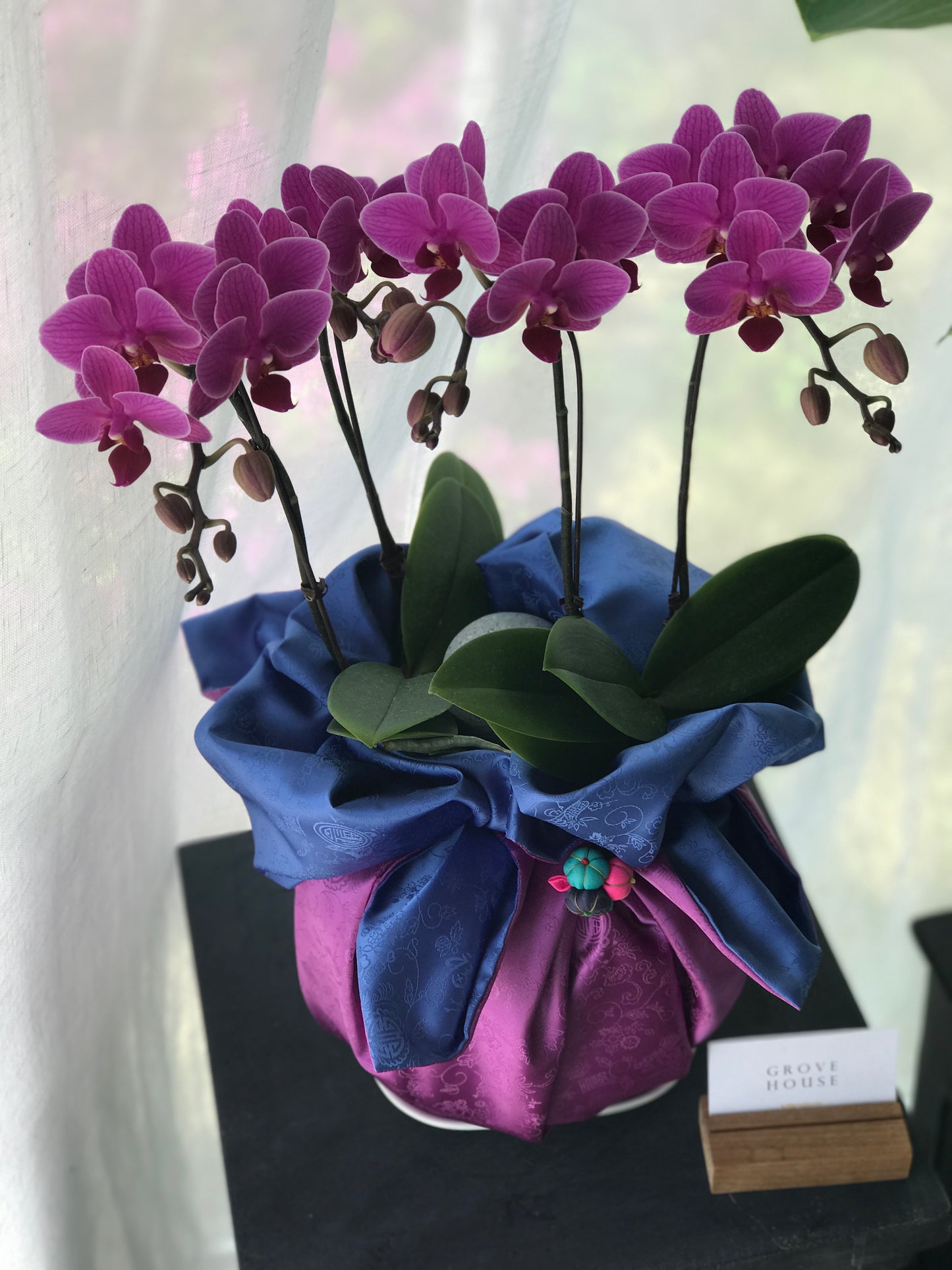 <Selection> Pink and Purple Orchids