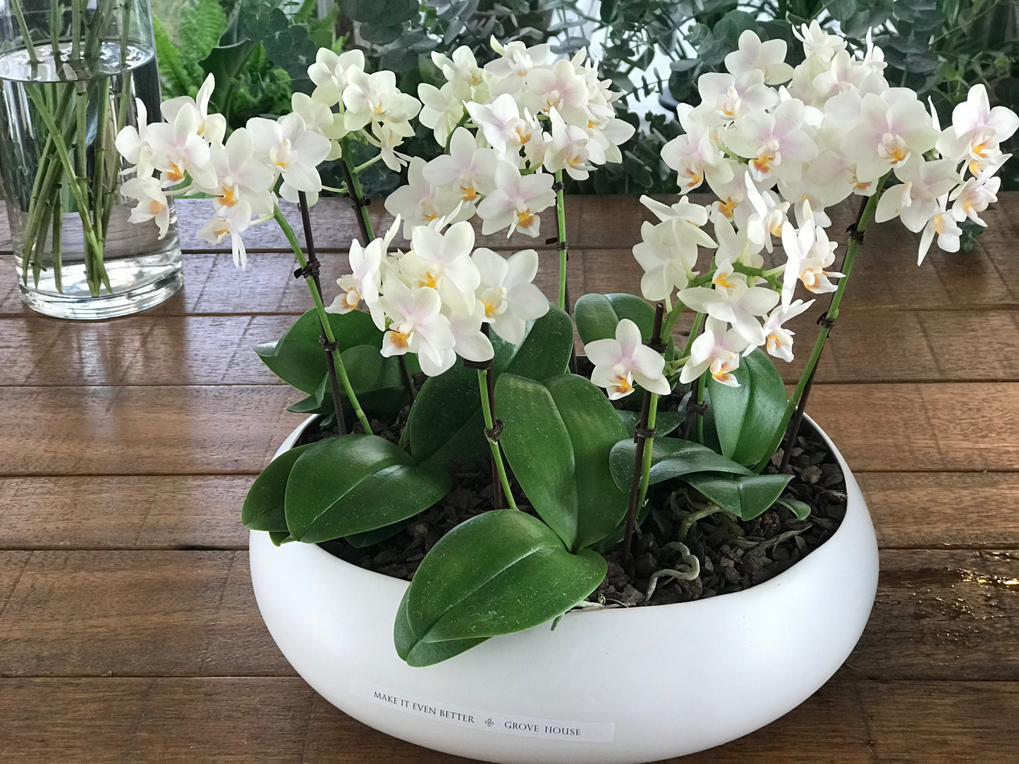 White Orchids