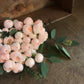 <Selection> Wrapped Bouquet  - Pink and Purple