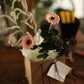 <Selection> Fresh Flower Vase Arrangement - Pink