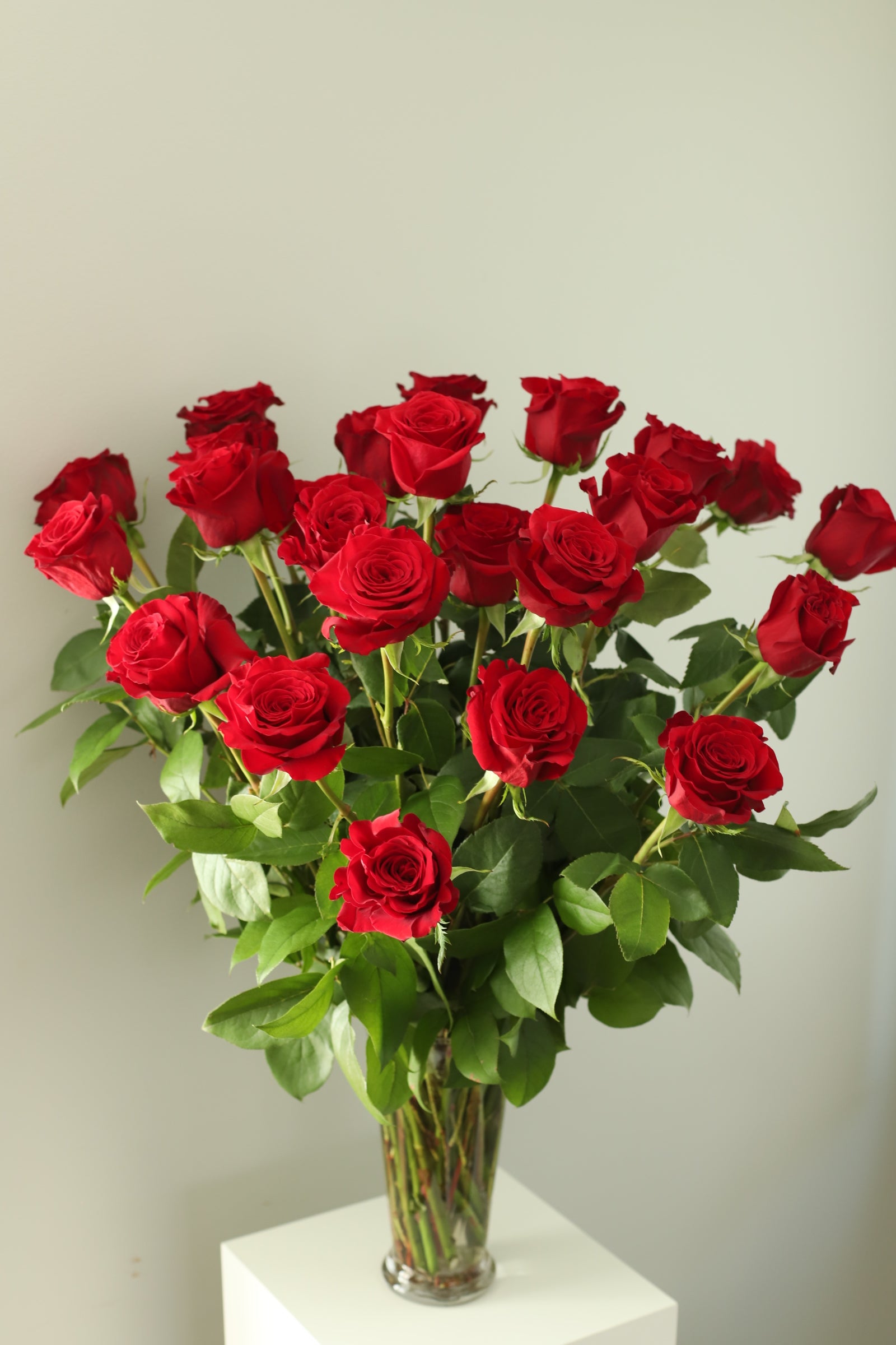 Local Red Roses Premium Long-Stem Red Roses for Valentine's Day | Chicago Local ...