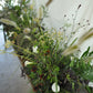 <Selection> Unforgettable Floral Event Decor