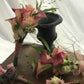 <Selection> Custom Wedding Flower Bouquet