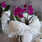 <Selection> Pink and Purple Orchids